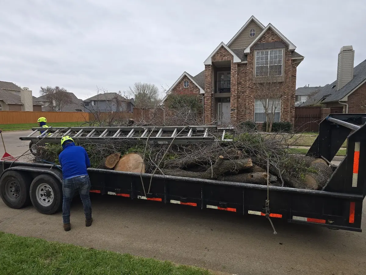 Expert Tree Fertilization with proper safety equipment in Morenci